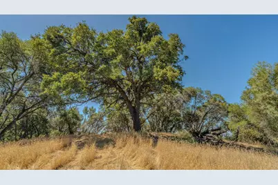 0 Lauren Lane, Jackson, CA 95642 - Photo 24