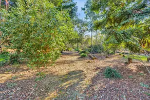 11909 Giusti Rd, Herald, CA 95638 - Photo 34