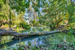 11909 Giusti Rd, Herald, CA 95638 - Photo 24