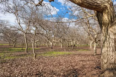 15500 E Highway 88, Lockeford, CA 95237 - Photo 46