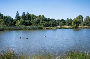 10343 Ducasse Wy, Elk Grove, CA 95757 - Photo 4