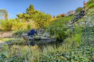 155 Hillside, Jackson, CA 95642 - Photo 6