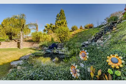 155 Hillside, Jackson, CA 95642 - Photo 42