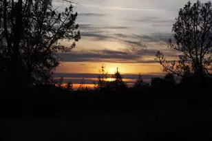 21705 S Powerhouse Rd, Manton, CA 96059 - Photo 14