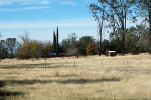 21705 S Powerhouse Rd, Manton, CA 96059 - Photo 6