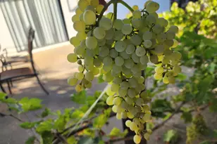 605 Sandpiper Cir, Lodi, CA 95240 - Photo 34