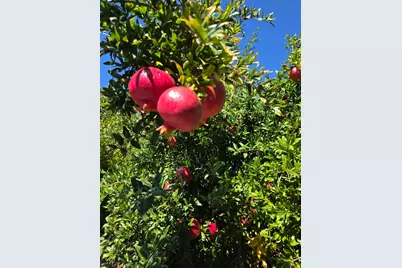 605 Sandpiper Circle, Lodi, CA 95240 - Photo 32