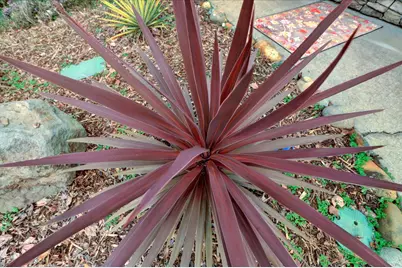 124 Ruby Ledge Court, Grass Valley, CA 95945 - Photo 74