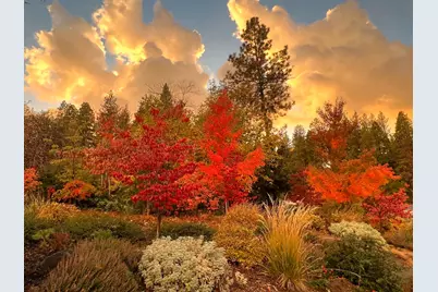 1203 Laurel Lane, Murphys, CA 95247 - Photo 50