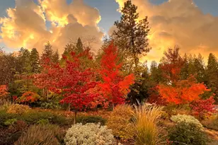 1203 Laurel Ln, Murphys, CA 95247 - Photo 50