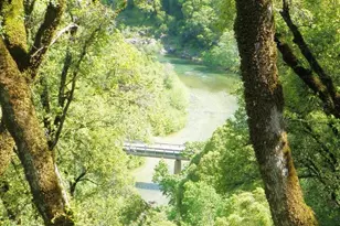 1440 Dog Bar, Colfax, CA 95713 - Photo 44