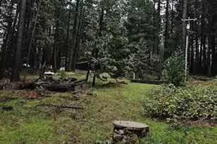 22700 Johnson Valley Rd, Foresthill, CA 95631 - Photo 66