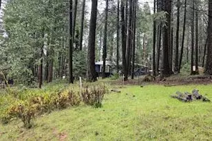 22700 Johnson Valley Rd, Foresthill, CA 95631 - Photo 54