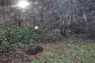 22700 Johnson Valley Rd, Foresthill, CA 95631 - Photo 60