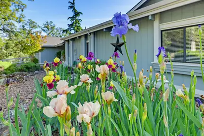 12025 Wanderer Road, Auburn, CA 95602 - Photo 34