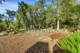 12025 Wanderer Rd, Auburn, CA 95602 - Photo 68