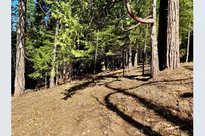 0 Park Woods Drive, Pollock Pines, CA 95726 - Photo 2