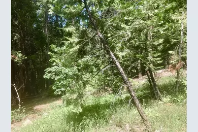 0 Park Woods Drive, Pollock Pines, CA 95726 - Photo 14