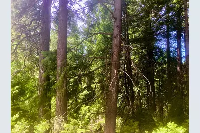 0 Park Woods Drive, Pollock Pines, CA 95726 - Photo 12
