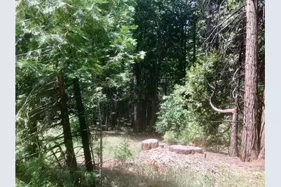 0 Park Woods Drive, Pollock Pines, CA 95726 - Photo 10