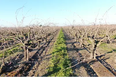 14248 E Peltier Road, Acampo, CA 95220 - Photo 22