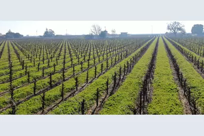 3587 W Sargent Road, Lodi, CA 95242 - Photo 4