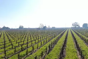 3587 W Sargent Rd, Lodi, CA 95242 - Photo 4