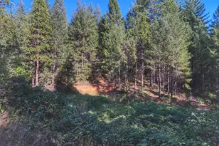 3221 Brauer Rd, Georgetown, CA 95634 - Photo 20