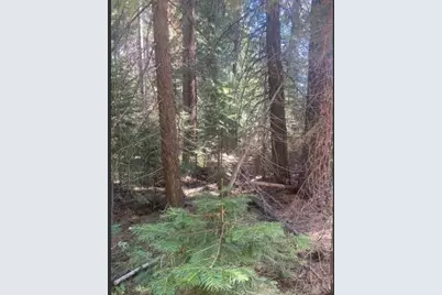 7464 Lily Avenue, Tahoe Vista, CA 96148 - Photo 2
