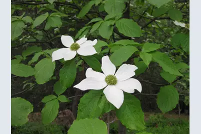 7040 Goferbroke Road, Georgetown, CA 95634 - Photo 44