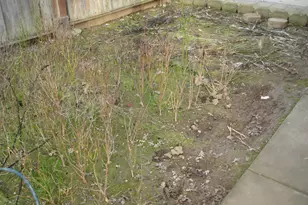 9410 Rose Ct, Live Oak, CA 95953 - Photo 34