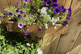 413 Redford Ln, Modesto, CA 95350 - Photo 48