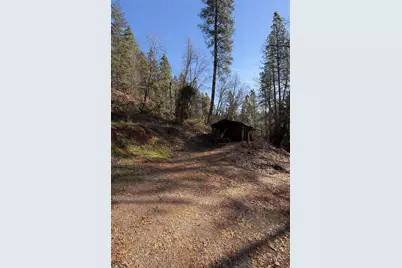 979 Dorothy Way, West Point, CA 95255 - Photo 8