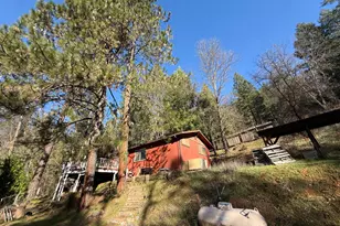 979 Dorothy Way, West Point, CA 95255 - Photo 1