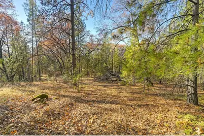 23050 Retherford Road, Grass Valley, CA 95949 - Photo 22