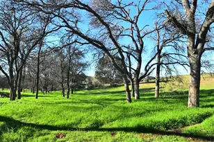 14600 Azucena Ct, Coulterville, CA 95311 - Photo 20