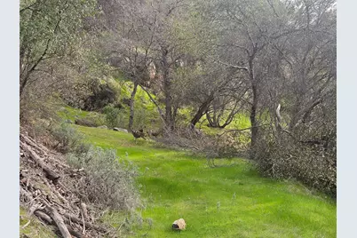 4394 Appaloosa Way, Angels Camp, CA 95222 - Photo 6