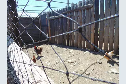 4161 Ginger Road, Garden Valley, CA 95651 - Photo 32