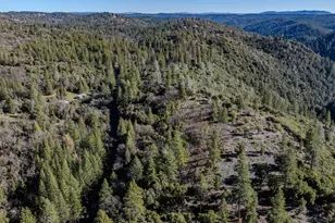 17640 Shake Ridge Rd, Sutter Creek, CA 95685 - Photo 60