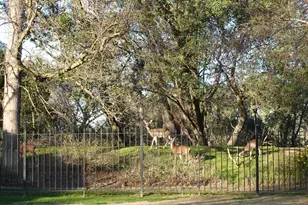1729 Le Bec Ct, Lodi, CA 95240 - Photo 36