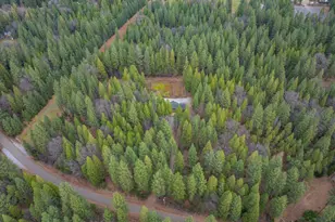 29960 Wengler Hill Rd, Shingletown, CA 96088 - Photo 38