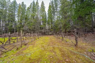 29960 Wengler Hill Rd, Shingletown, CA 96088 - Photo 44