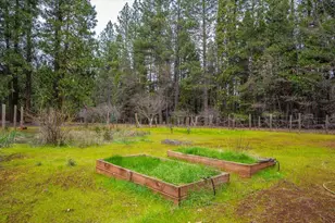 29960 Wengler Hill Rd, Shingletown, CA 96088 - Photo 46