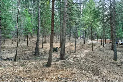 0 Rainbow Trl, Pollock Pines, CA 95726 - Photo 8