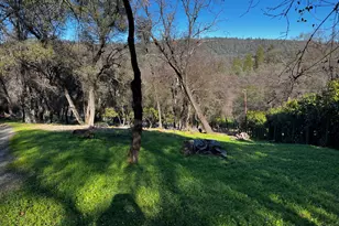 5575 Stanley Dr, Auburn, CA 95602 - Photo 10