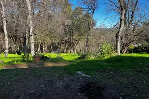 5575 Stanley Dr, Auburn, CA 95602 - Photo 6