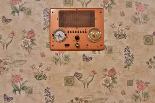 1609 Augusta Ct, Modesto, CA 95350 - Photo 32