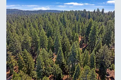 6224 Drop Off Road, Pollock Pines, CA 95726 - Photo 38