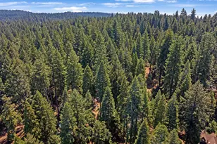 6224 Drop Off Rd, Pollock Pines, CA 95726 - Photo 38