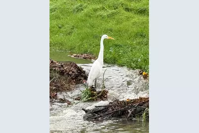 Seabrook Street, Sacramento, CA 95828 - Photo 54